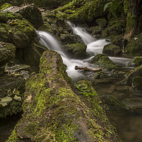 Buy canvas prints of Flowing Water From Janet's Foss by Gary Kenyon