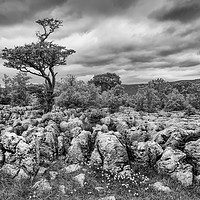 Buy canvas prints of Moody Skies Over the Limestone Pavement by Gary Kenyon