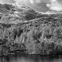 Buy canvas prints of Tarn Hows Trees by Gary Kenyon