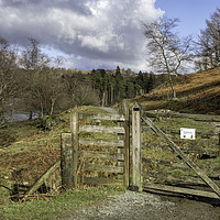 Buy canvas prints of Gate into Tarn Hows by Gary Kenyon