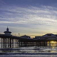 Buy canvas prints of Starlings Over North Pier by Gary Kenyon