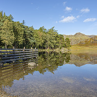 Buy canvas prints of Blea Tarn Reflections by Gary Kenyon