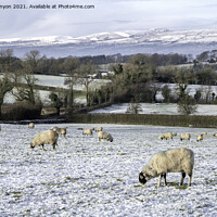 Buy canvas prints of Winter Views from Downham by Gary Kenyon