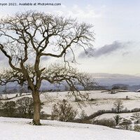 Buy canvas prints of Downham Winter Snowy Scene by Gary Kenyon