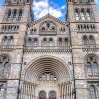 Buy canvas prints of Natural History Museum by Thanet Photos