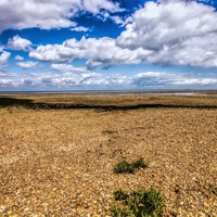 Buy canvas prints of Seasalter beach by Thanet Photos