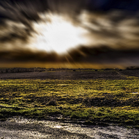 Buy canvas prints of The field by Thanet Photos