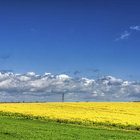 Buy canvas prints of Blue, Yellow and Green by Thanet Photos