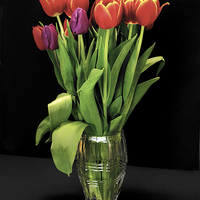 Buy canvas prints of Beautiful Tulips in a glass vase by Thanet Photos