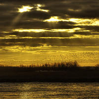 Buy canvas prints of Birds at sunset by Thanet Photos