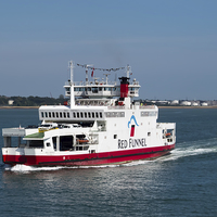 Buy canvas prints of  The Red Osprey by Thanet Photos