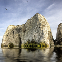 Buy canvas prints of  Kingsgate Bay by Thanet Photos