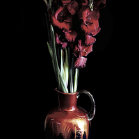 Buy canvas prints of Stunning Red Gladiola flowers in a beautiful jug by Thanet Photos