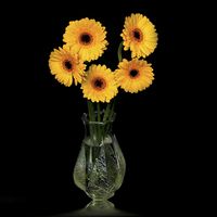 Buy canvas prints of  Yellow Gerberas in a glass vase by Thanet Photos