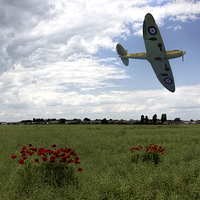Buy canvas prints of  Low level Spitfire by Thanet Photos