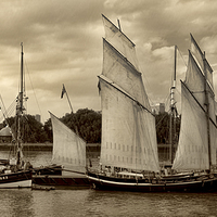 Buy canvas prints of  Tall ships    by Thanet Photos