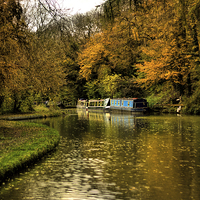 Buy canvas prints of  Golden canal by Thanet Photos