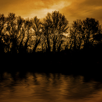 Buy canvas prints of  Tree silhouette  by Thanet Photos