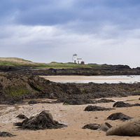 Buy canvas prints of Elie beach        by Thanet Photos