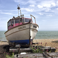 Buy canvas prints of  Sally Joy by Thanet Photos