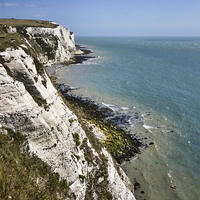 Buy canvas prints of  The White cliffs of Dover by Thanet Photos