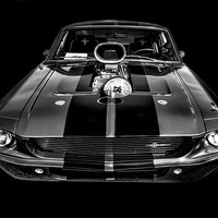 Buy canvas prints of  Shelby GT500 by Thanet Photos