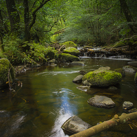 Buy canvas prints of  A Lake district stream by Gordon Bishop