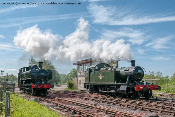 Steam Locomotives of the Dean Forest Railway Picture Board by Steve H Clark