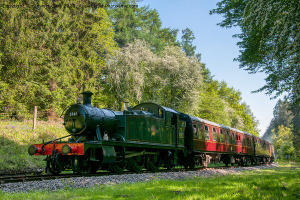 Prairie Locomotive 5541 approaching Parkend Picture Board by Steve H Clark