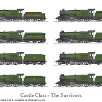 Buy canvas prints of Castle Class - The Survivors by Steve H Clark