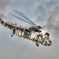 Buy canvas prints of Sea King in Arctic Camouflage by Steve H Clark