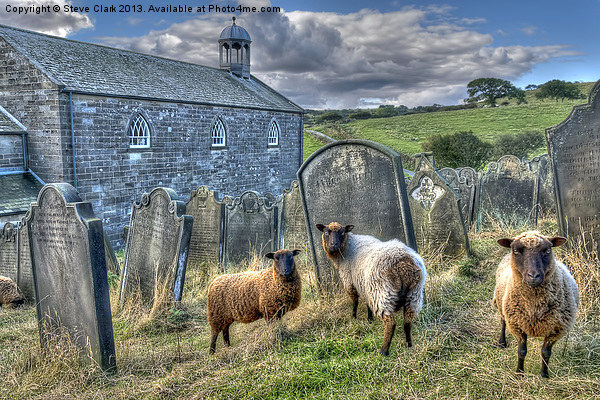 The Flock - Old St Stephen s Church Picture Board by Steve H Clark