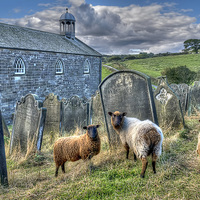 Buy canvas prints of The Flock - Old St Stephen s Church by Steve H Clark