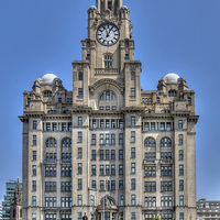 Buy canvas prints of The Liver Building - Liverpool by Steve H Clark