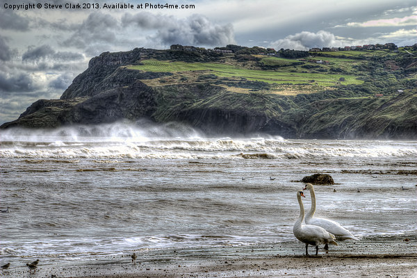 Swans on the Beach - Robin Hoods Bay Picture Board by Steve H Clark