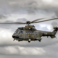 Buy canvas prints of  Swiss Air Force Super Puma by Steve H Clark