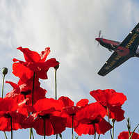 Buy canvas prints of  Lest We Forget by Steve H Clark