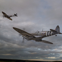 Buy canvas prints of  126 Squadron Spitfires by Steve H Clark