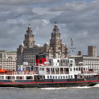 Buy canvas prints of  Royal Iris of the Mersey by Steve H Clark