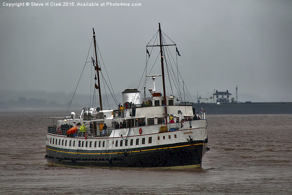 MV Balmoral Approaches Lydney Harbour Picture Board by Steve H Clark