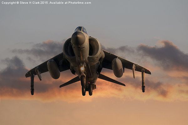  Sea Harrier at Sunset Picture Board by Steve H Clark