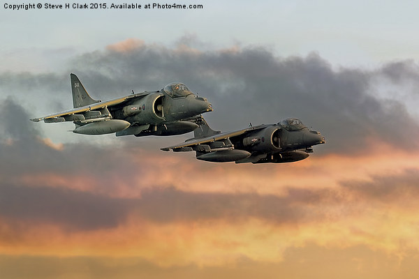 Harriers at Sunset Picture Board by Steve H Clark