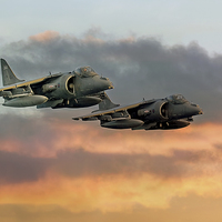 Buy canvas prints of Harriers at Sunset by Steve H Clark