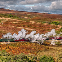 Buy canvas prints of 60009 Union of South Africa by Steve H Clark