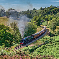 Buy canvas prints of The North Yorkshire Moors Railway by Steve H Clark
