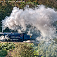 Buy canvas prints of A King In Steam by Steve H Clark