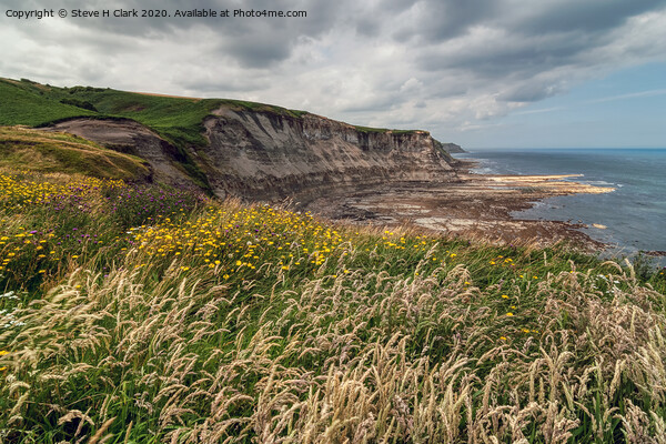 North Yorkshire Coastal Path Picture Board by Steve H Clark