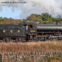 Buy canvas prints of LNER Thompson Class B1 Number 1264 by Steve H Clark
