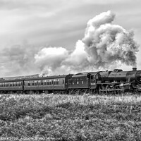 Buy canvas prints of LMS Black Five - Black and White by Steve H Clark