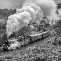 Buy canvas prints of King Edward the Second - Black and White by Steve H Clark